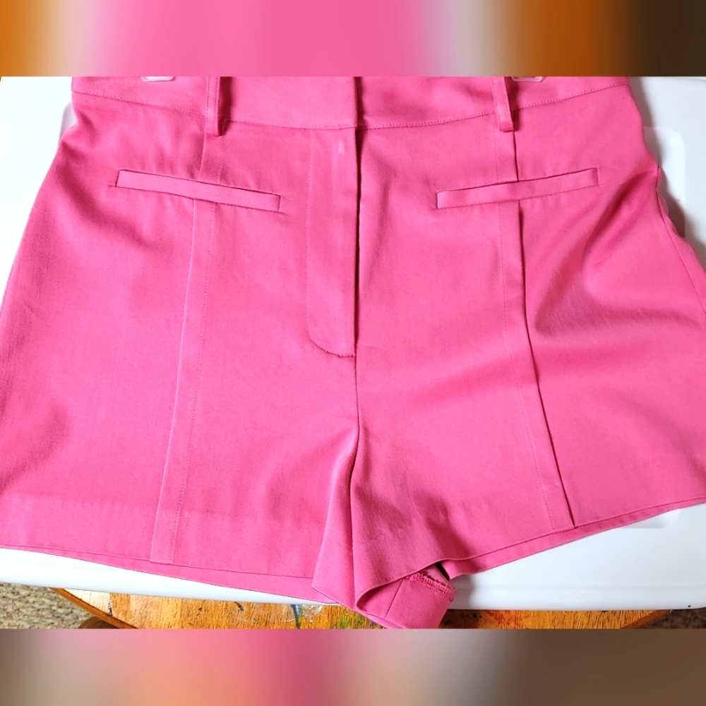 Gianni Bini cotton candy pink shorts size 10